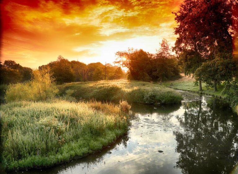 Beddington Park & ​​The Grange