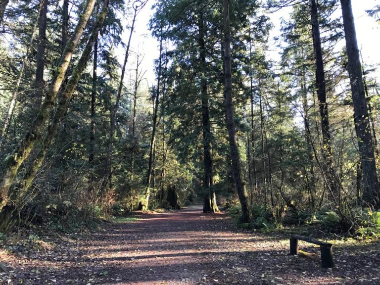 Mundy Park, Coquitlam