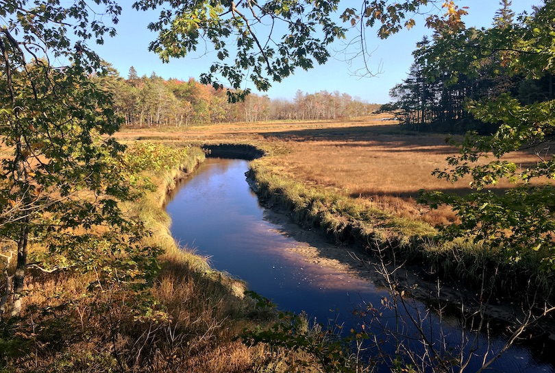 Rachel Carson National Wildlife Refuge