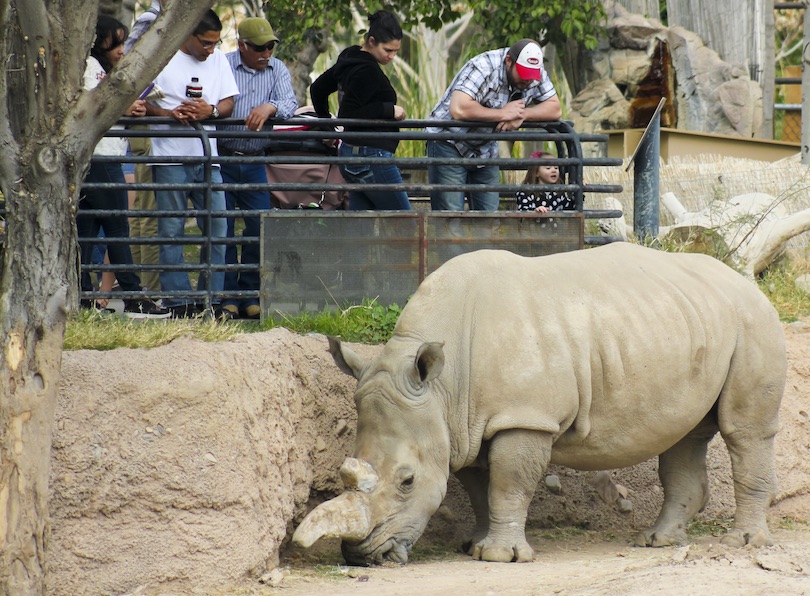 Reid-Park-Zoo
