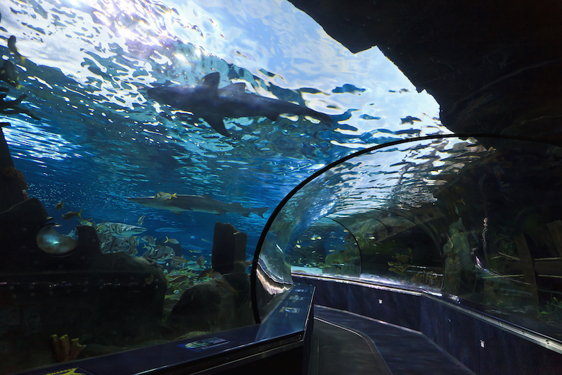 Ripleys Aquarium von Myrtle Beach