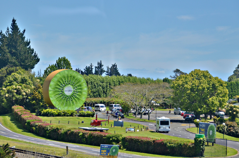 Te Puke
