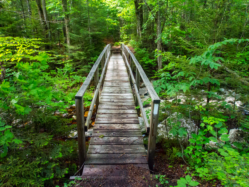 Wandern Sie auf dem Appalachian Trail