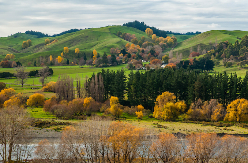 Hawkes Bay