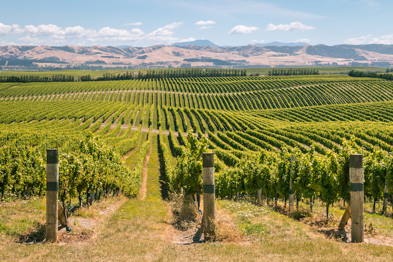 Marlborough