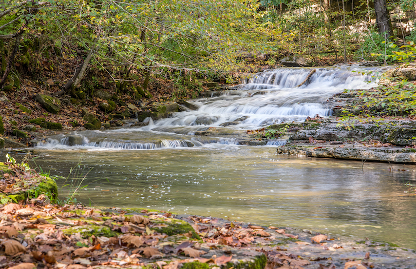 Raven Run Naturschutzgebiet