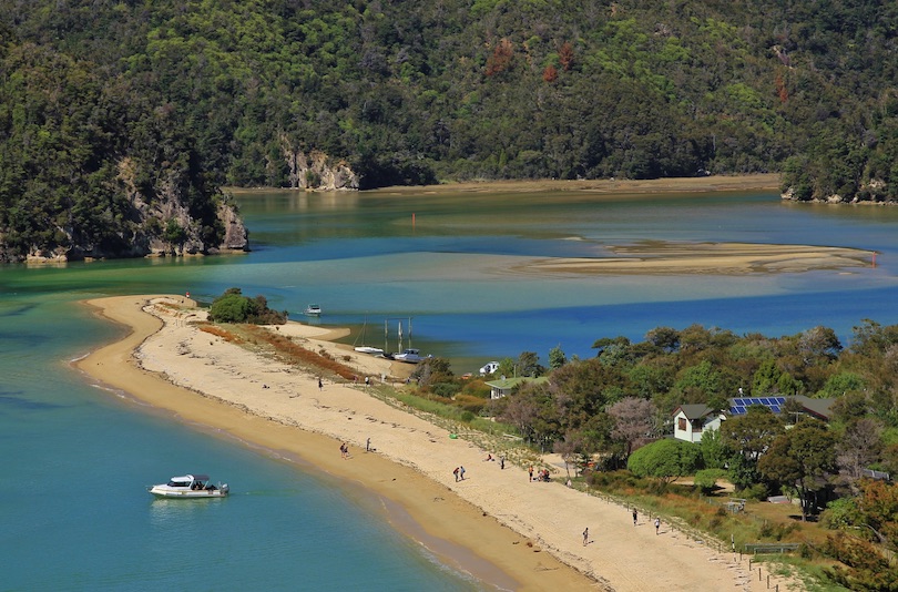Tasmanisch